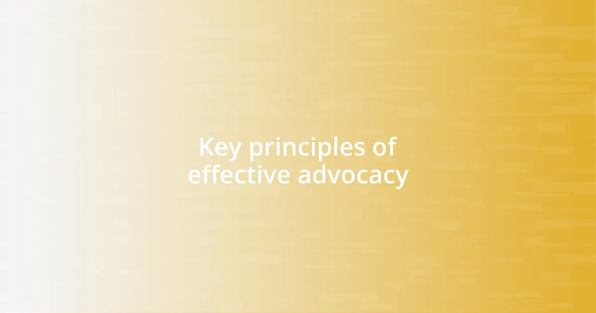 Key principles of effective advocacy